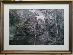 Photos and Prints